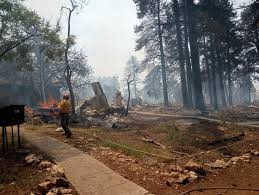 Wildfire